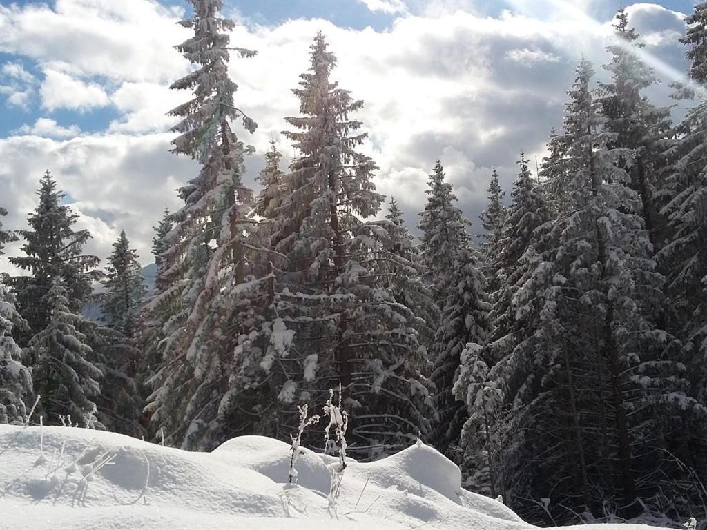 Wildsteig Landhotel Und Gasthof Kirchberger מראה חיצוני תמונה